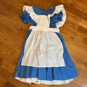 Hand Crafted Alice in Wonderland Costume